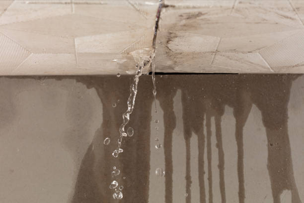 Professional Water Extraction technician working in Ridge, NY